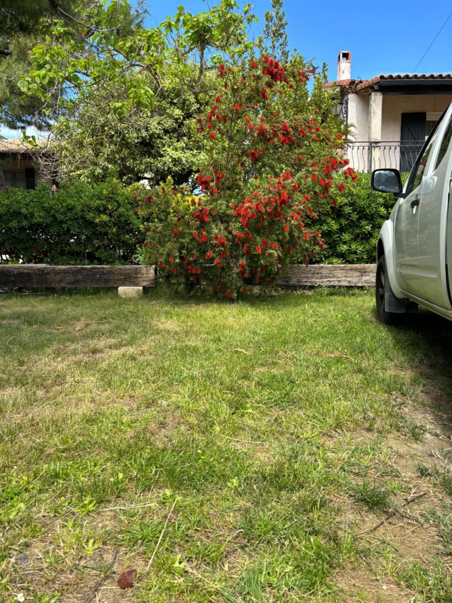 Les Flo Location * Aigues-Mortes